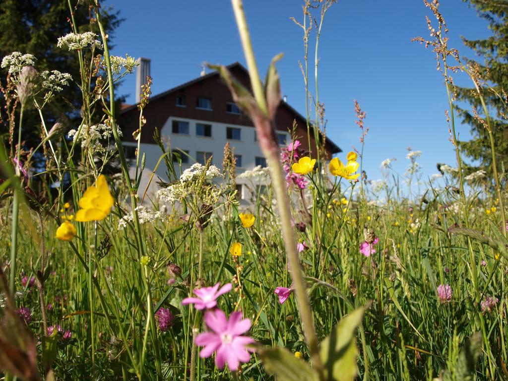 La Roche Du Tresor Village Vacances Longevilles-Mont-dʼOr Exterior foto